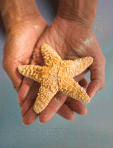 Starfish making a difference